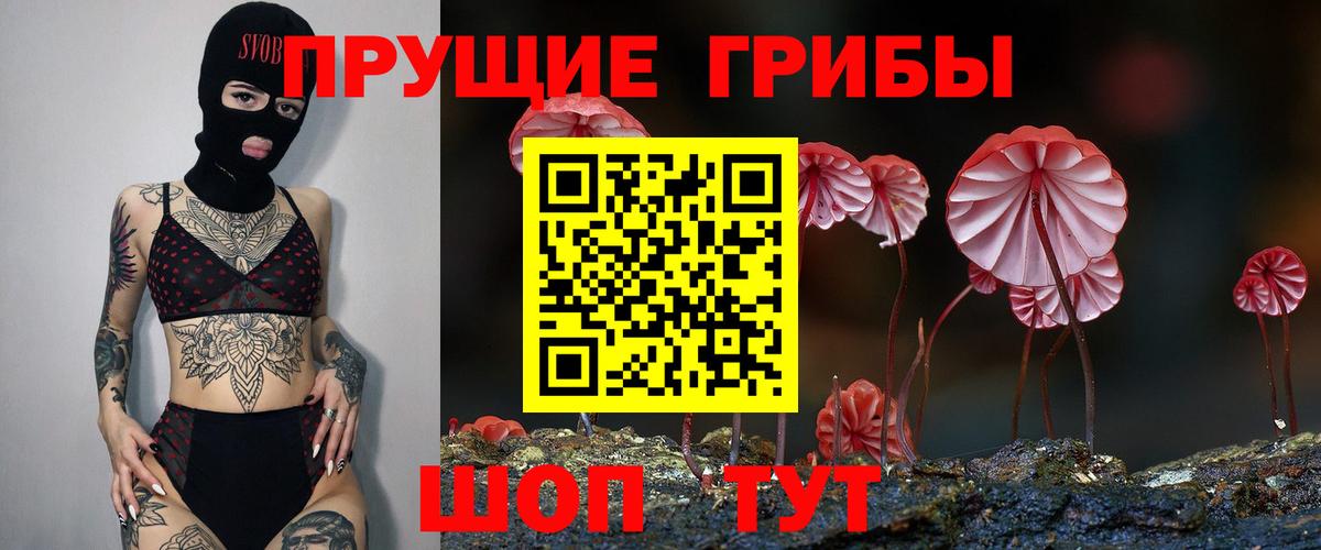 Псилоцибиновые грибы MAGIC MUSHROOMS Электросталь