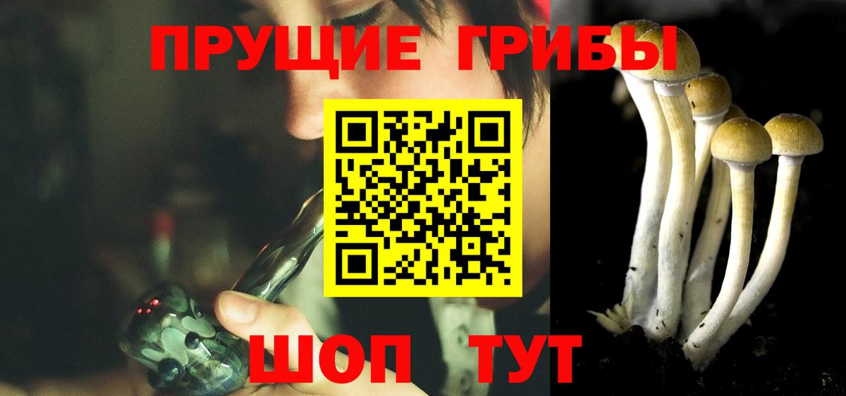 Галлюциногенные грибы Cubensis  Вход с VPN  наркошоп  Электросталь 